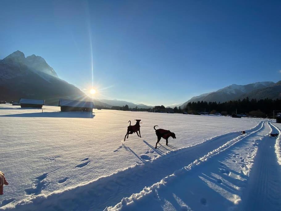 Zentral, ruhig&stilvoll mit Bergpanorama+ Garten Garmisch-Partenkirchen Exterior foto